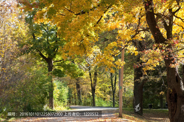 公園