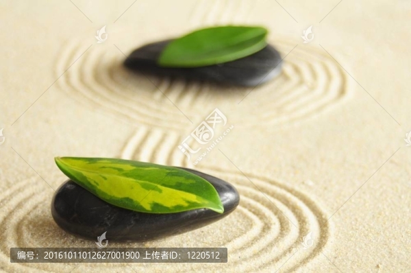 禪的和諧