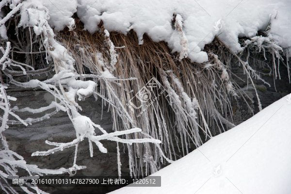 Boulder和干草覆蓋著雪