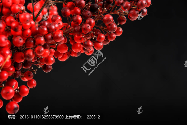 紅色水果