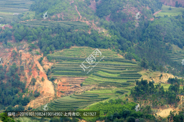 美麗鄉(xiāng)村