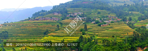秋收田園全景圖