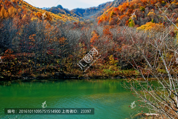 天橋溝