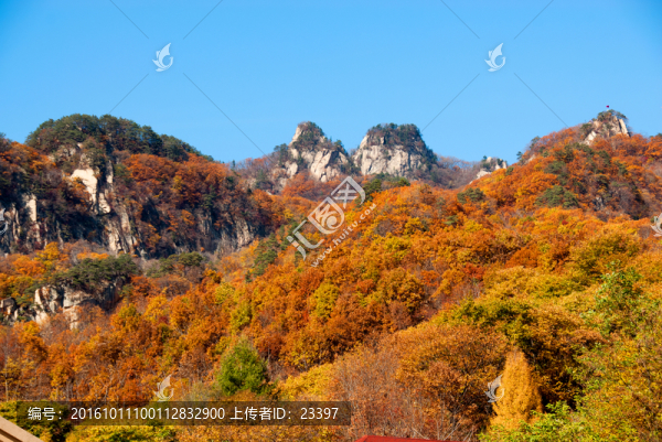 天橋溝