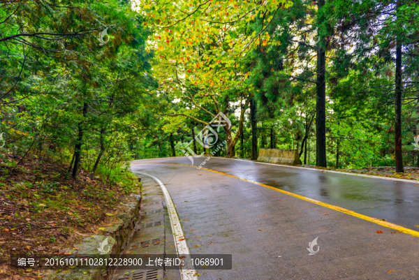 盤山公路
