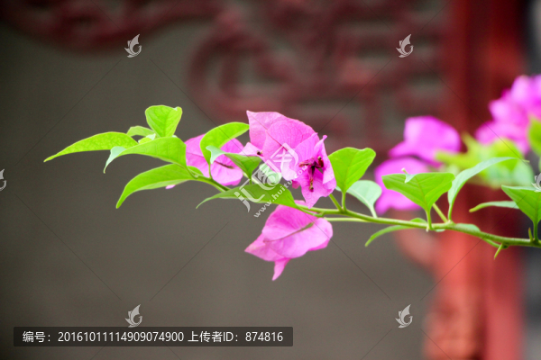 江南