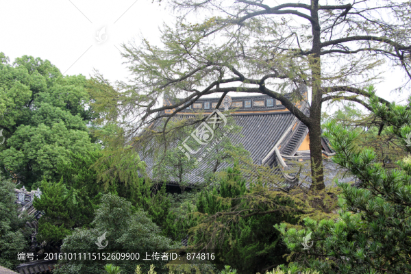 江南古鎮(zhèn)