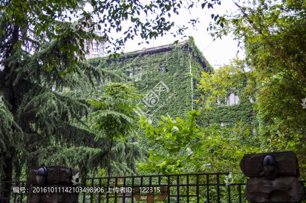 綠色環(huán)保,建筑物