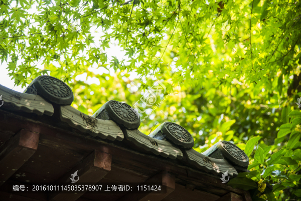 屋檐