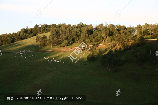 關(guān)山牧場