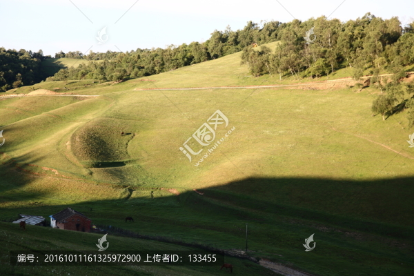 關(guān)山牧場