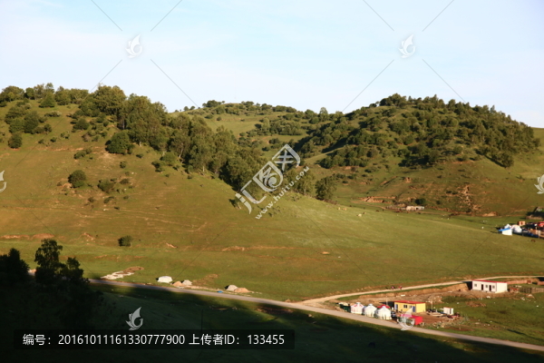 關(guān)山牧場