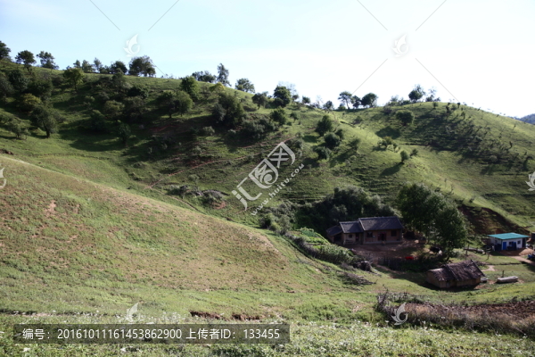 關山牧場