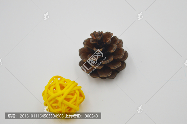 藤球,松球