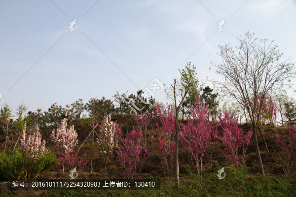 園林綠化