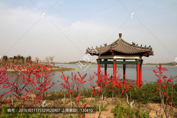 桃花,涼亭