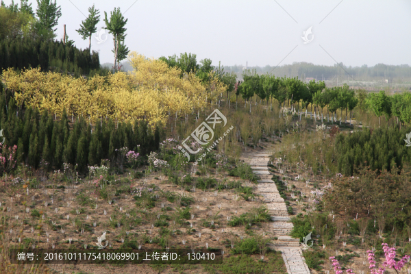 園林綠化