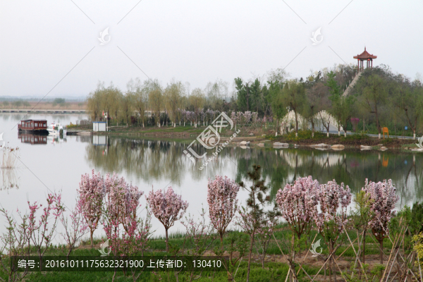 濕地風(fēng)光