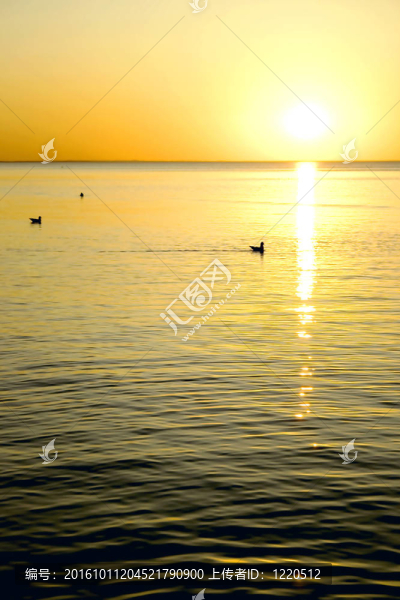 波羅的海日落
