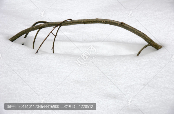 后退的積雪