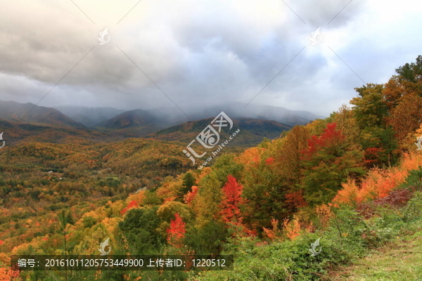 風暴釀造的秋天的顏色