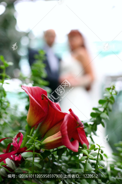 在后面的草地上可以看到新婚夫婦的婚禮花束