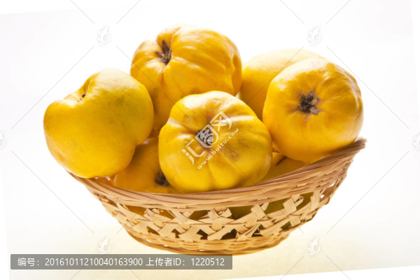 小籃子大榅桲