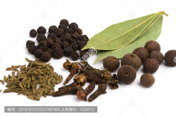 桂葉；丁香；香菜和黑胡椒