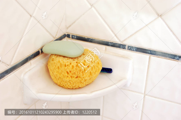 沐浴海綿