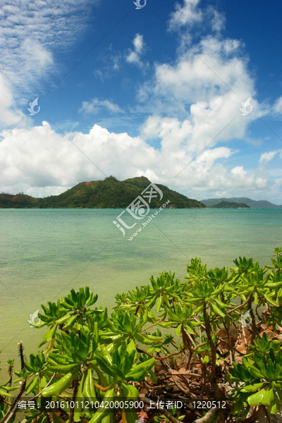 塞舌爾海灘。普拉蘭島。