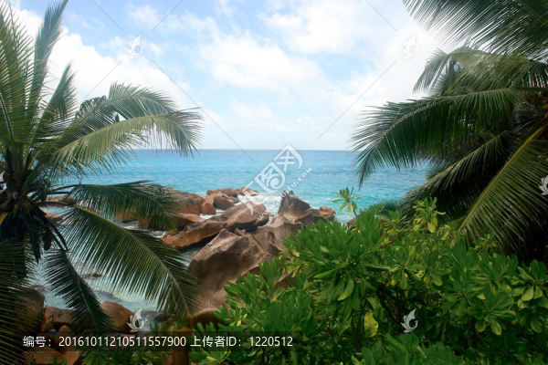 塞舌爾海灘。拉迪格島島。