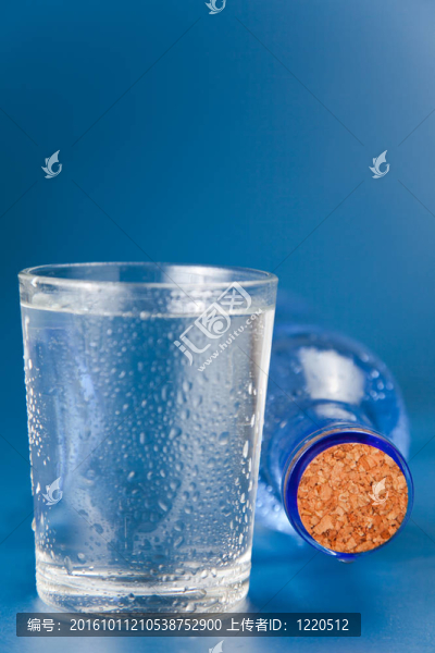 淡水瓶