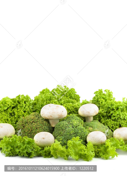 在萵苣香菇
