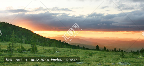 阿爾泰山