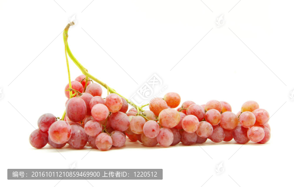 葡萄