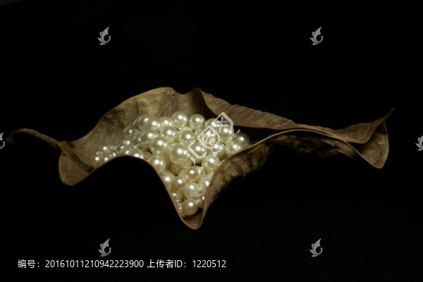 珍珠
