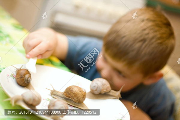 蝸牛
