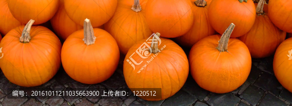 人行道上的南瓜集團(tuán)