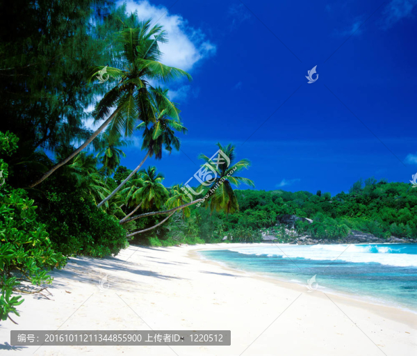 Anse,Takamaka；Mahe；塞舌爾