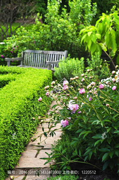 郁郁蔥蔥的花園