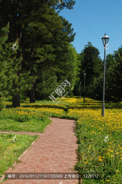 在公園里