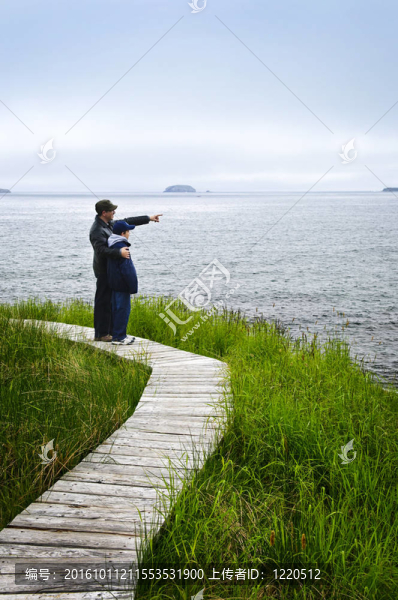 在紐芬蘭島，父親和兒子在大西洋海岸