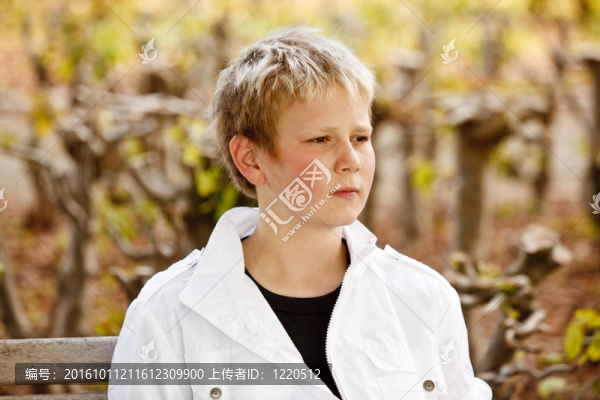 年輕男孩的肖像