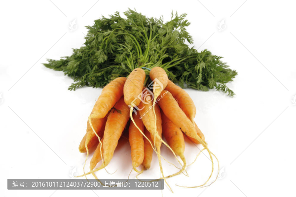 把胡蘿卜