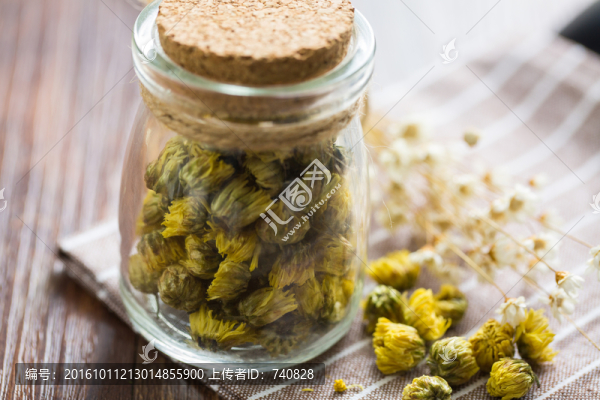貢菊