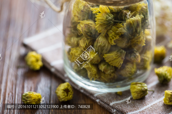 貢菊