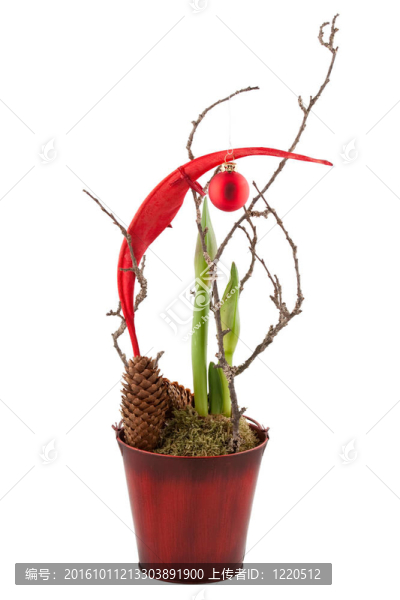 圣誕樹