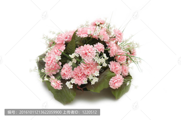白色花束