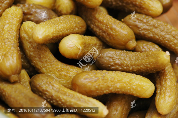 以腌制黃瓜為背景