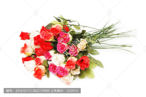 白色的玫瑰花束在白色的玫瑰上